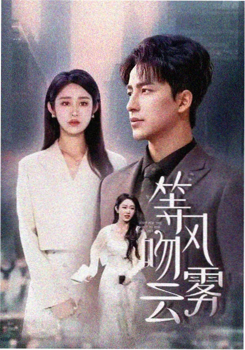 雾都追凶刑侦剧集完结